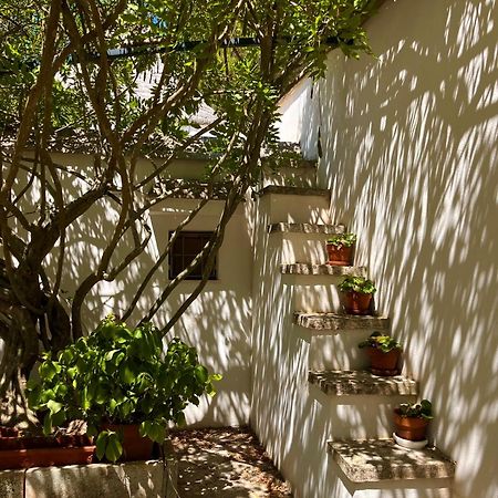 I Trulli Della Naturabio Мартина-Франка Экстерьер фото