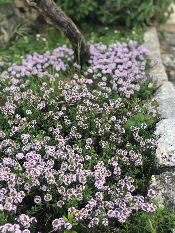 I Trulli Della Naturabio Мартина-Франка Экстерьер фото